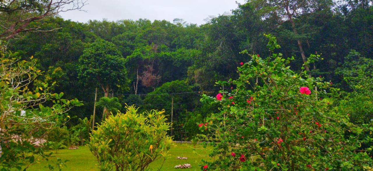 Dan Zoranz Self Catering Guest House La Digue Dış mekan fotoğraf