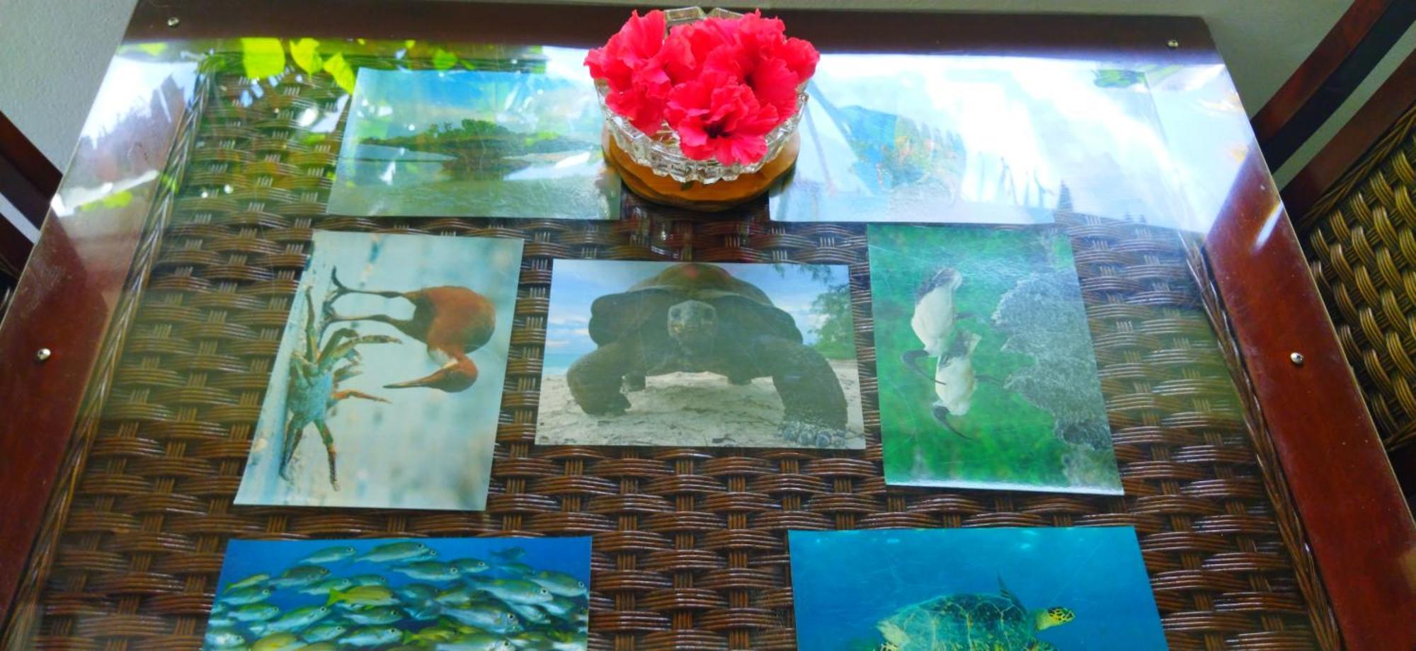 Dan Zoranz Self Catering Guest House La Digue Dış mekan fotoğraf