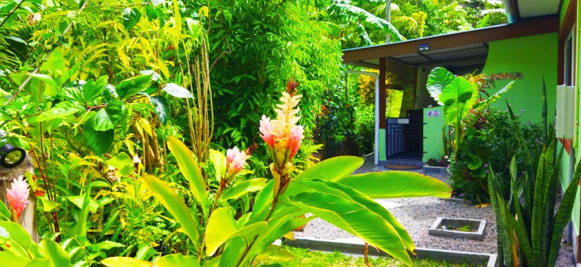 Dan Zoranz Self Catering Guest House La Digue Dış mekan fotoğraf