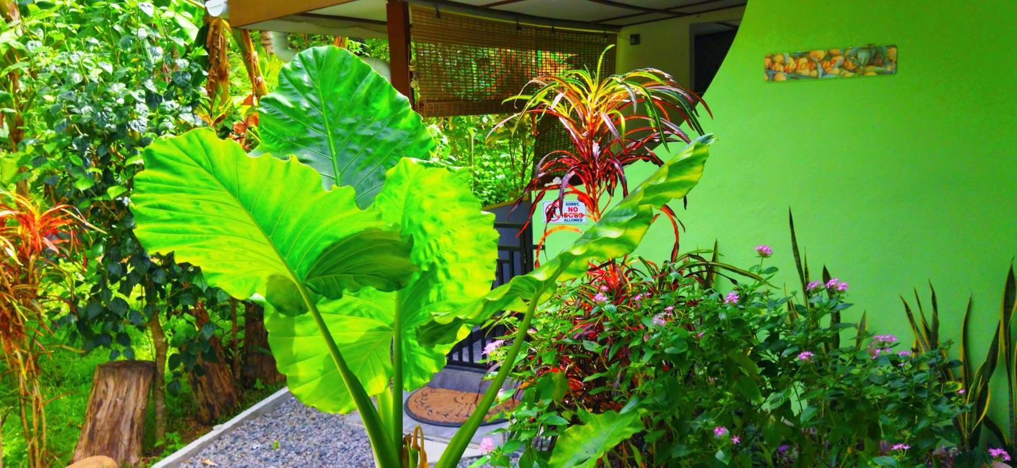 Dan Zoranz Self Catering Guest House La Digue Dış mekan fotoğraf
